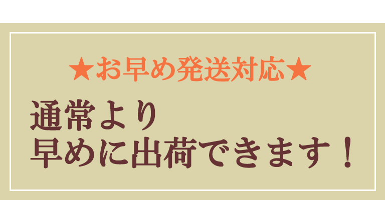 お早め発送対応